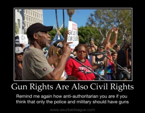 gun-rights