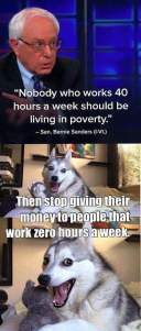 12079547_10204085245366018_6745435839845716313_n