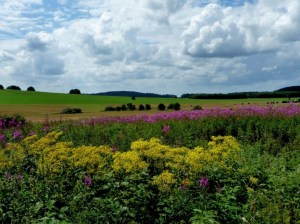 big_27963428_0_1024-768