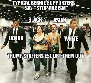 13332955_173965063005526_4658791091351029730_n